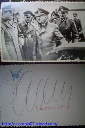 watermark_25.jpg